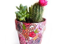 Style and Spice Flowery Planter